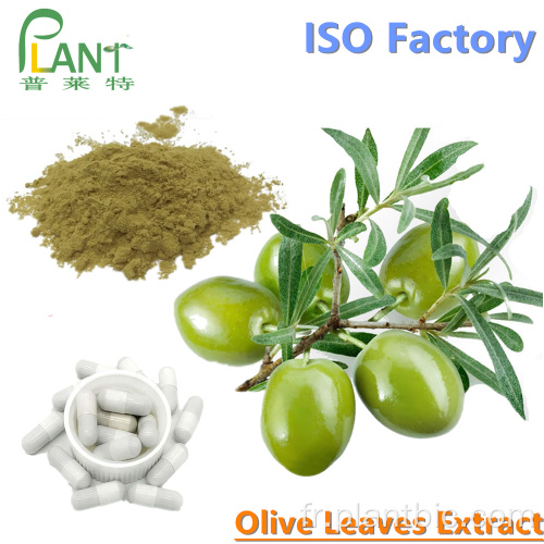 HPLC Extrait de feuilles d&#39;olivier en poudre d&#39;oleuropéine